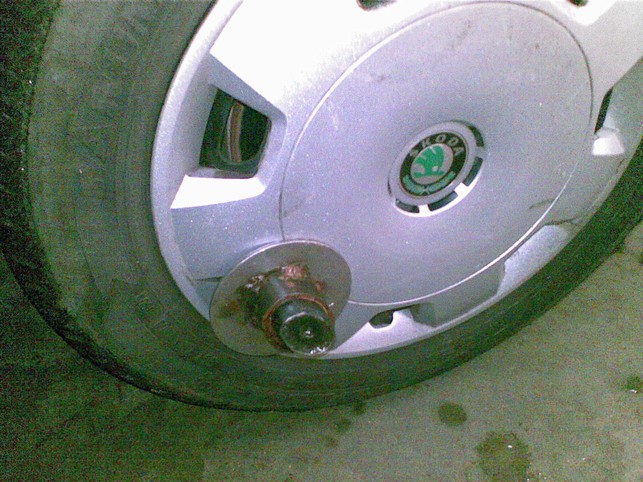 foto k příspěvku  od Rustapha-659