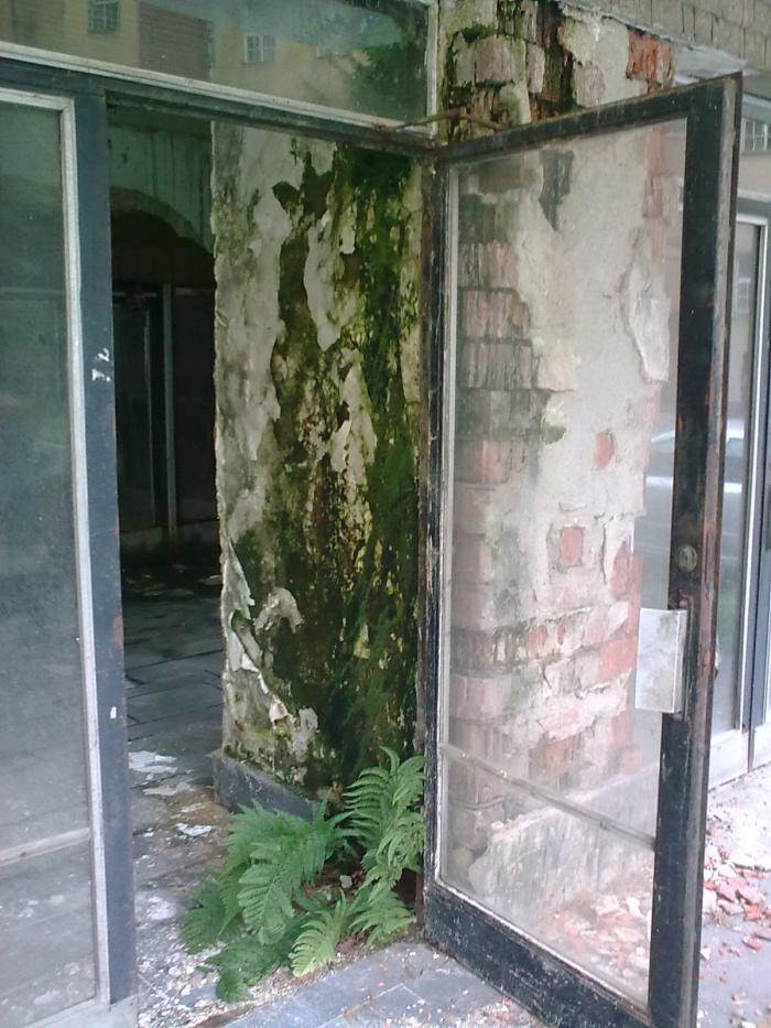 foto k příspěvku  od CervinVega