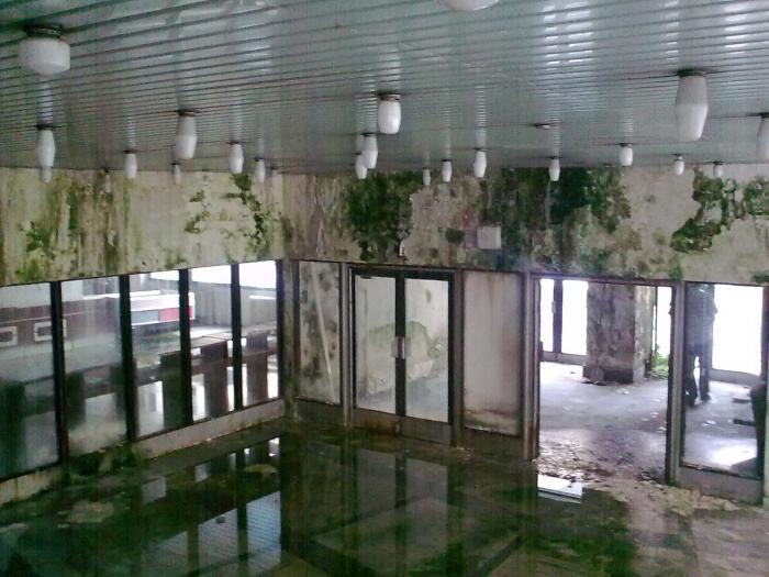 foto k příspěvku  od CervinVega