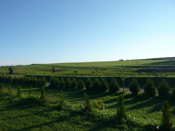 foto k příspěvku  od P3RF3KT