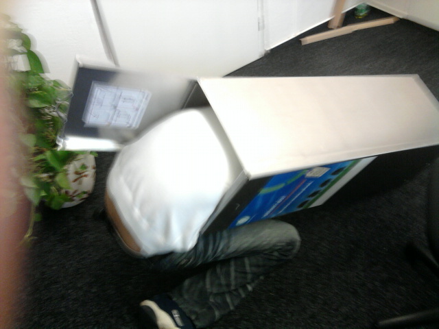 foto k příspěvku  od Bolthorn