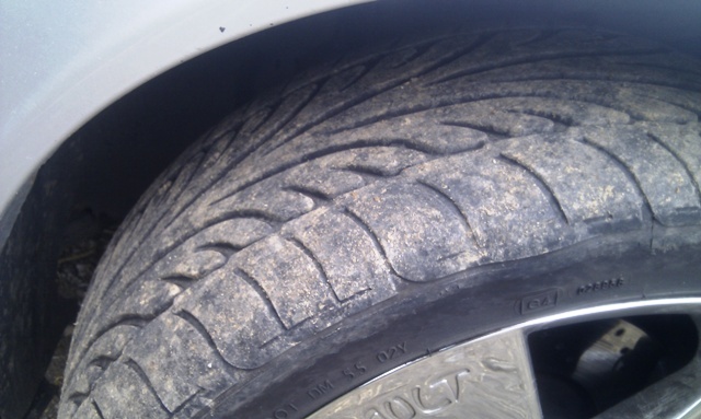 foto k příspěvku  od Aligátor