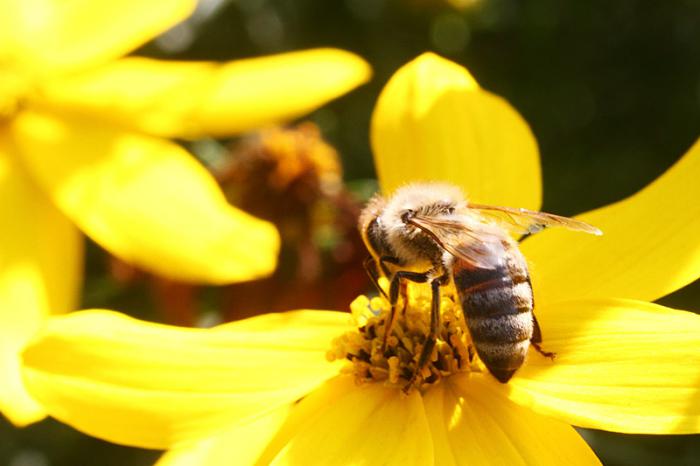 foto k příspěvku  od Mr.Scully