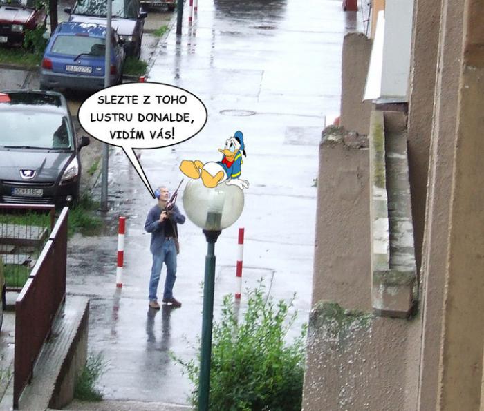 foto k příspěvku  od haskyvr6