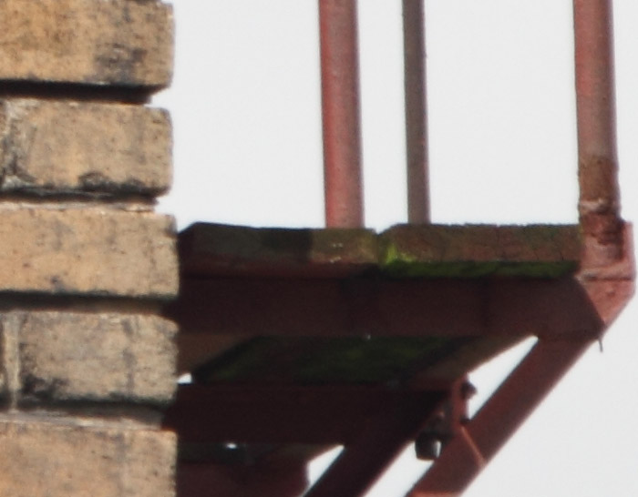 foto k příspěvku  od Mr.Scully