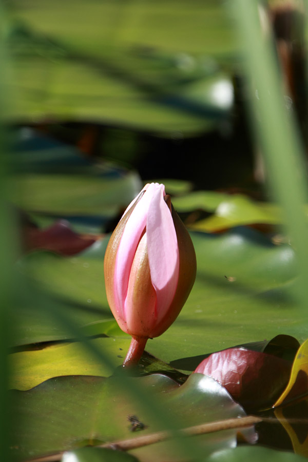 foto k příspěvku  od Mr.Scully