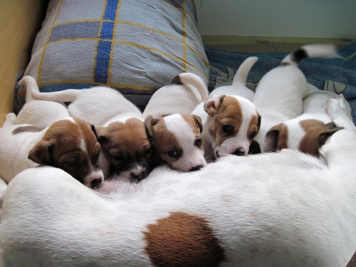 foto k příspěvku  od DiDa