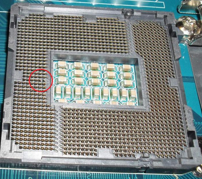 foto k příspěvku  od Knightey-