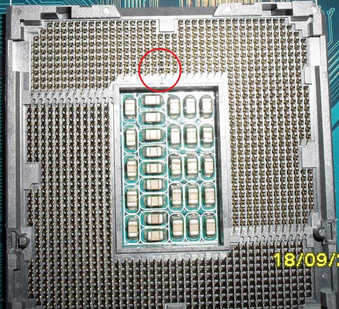 foto k příspěvku  od Knightey-