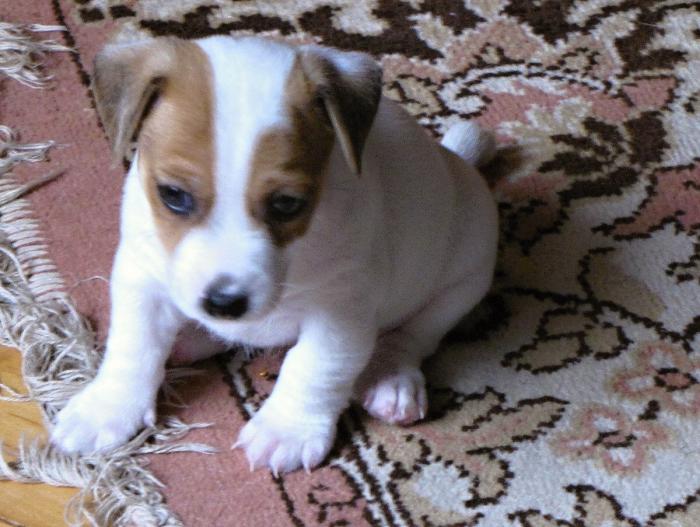 foto k příspěvku  od DiDa