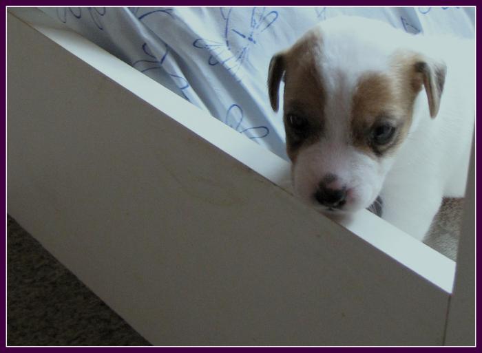 foto k příspěvku  od DiDa