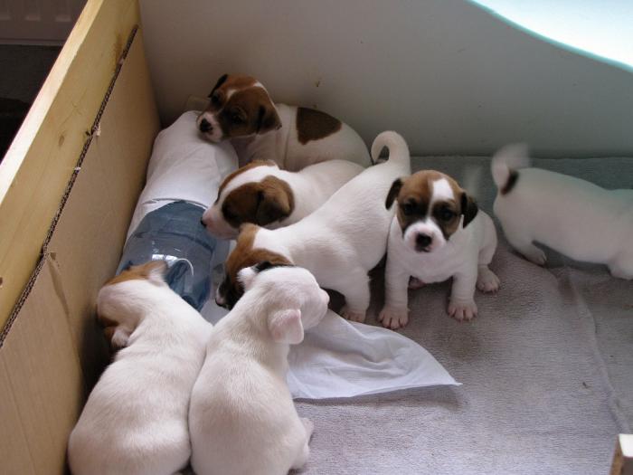 foto k příspěvku  od DiDa