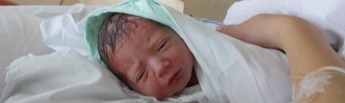 foto k příspěvku  od dolph