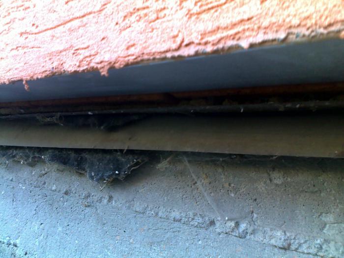 foto k příspěvku  od Only_One