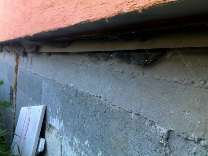 foto k příspěvku  od Only_One