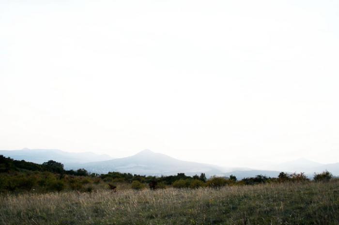 foto k příspěvku  od Crimson