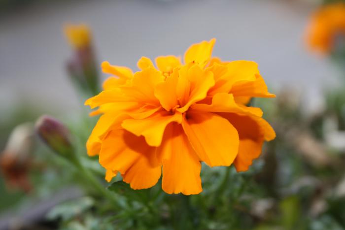 foto k příspěvku  od stewe21