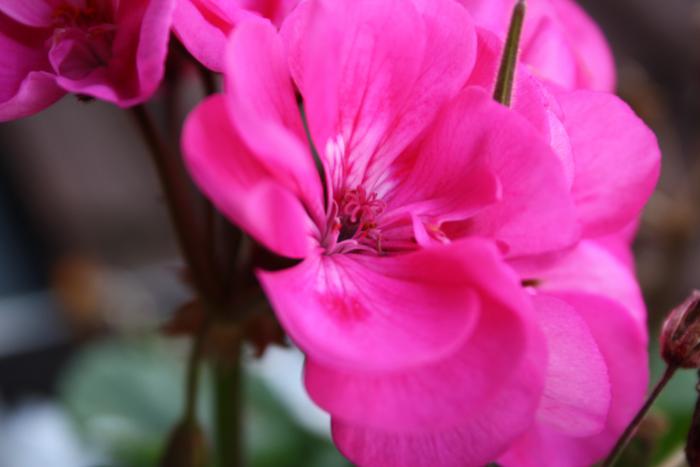 foto k příspěvku  od stewe21