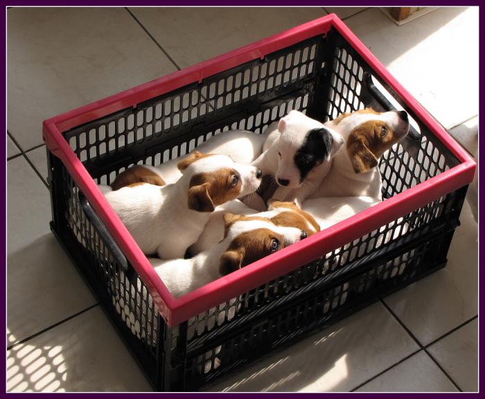 foto k příspěvku  od DiDa