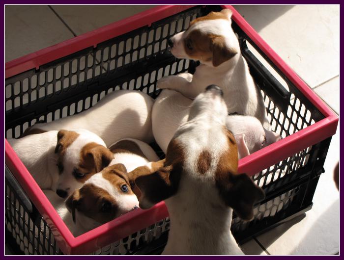 foto k příspěvku  od DiDa