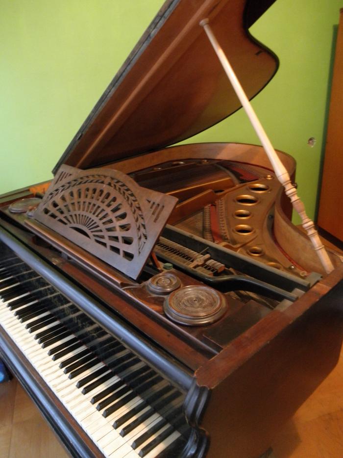 foto k příspěvku  od kasko