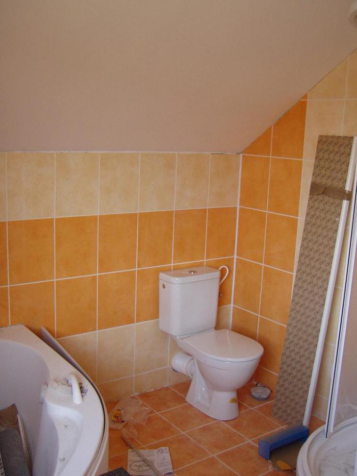 foto k příspěvku  od Lucni.konik