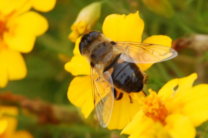 foto k příspěvku  od Tuner#2