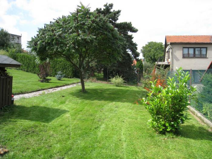 foto k příspěvku  od cupra.165