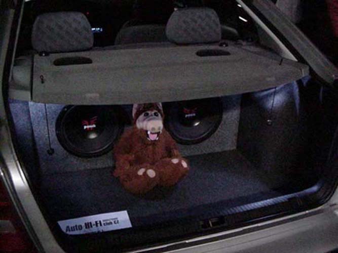 foto k příspěvku  od Crimson