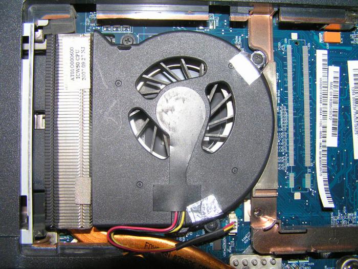 foto k příspěvku  od hawai