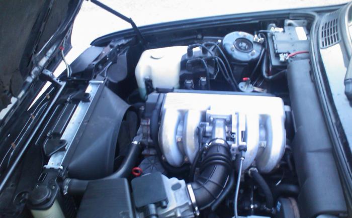 foto k příspěvku  od Hráďa