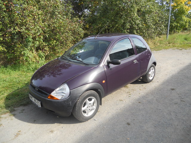 foto k příspěvku  od Lumík