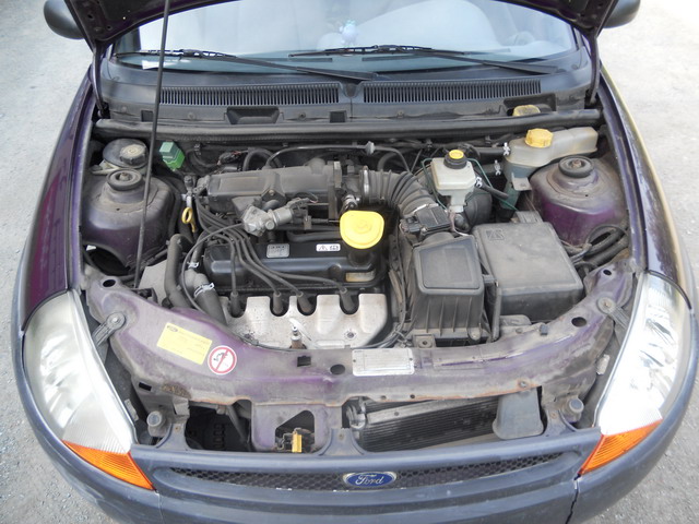 foto k příspěvku  od Lumík