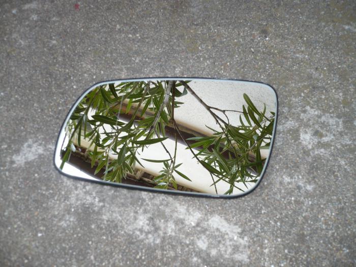 foto k příspěvku  od FBS