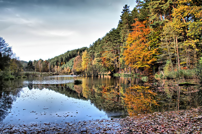 foto k příspěvku  od Crimson