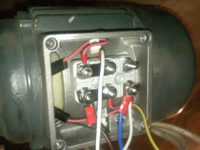 foto k příspěvku  od ACEMajky