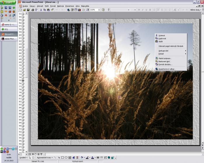 foto k příspěvku  od radek.613