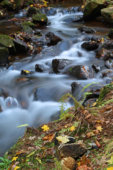 foto k příspěvku  od Crimson