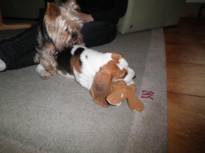 foto k příspěvku  od Vasekkch