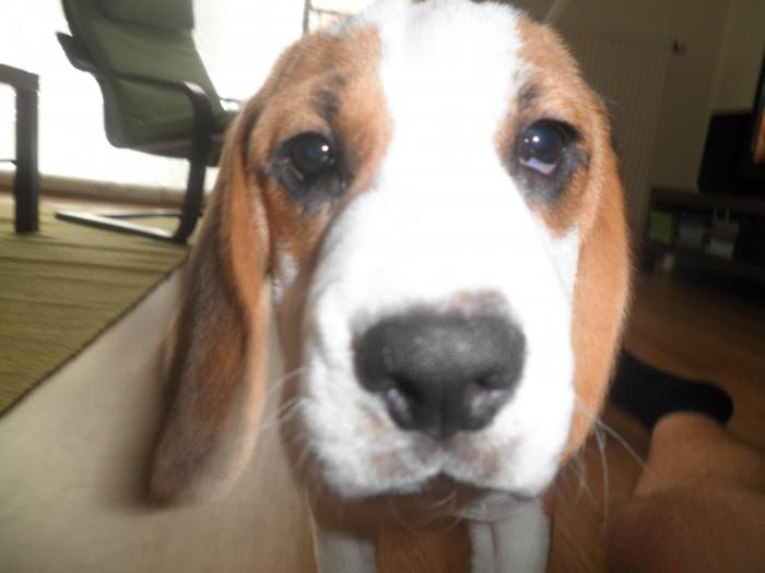 foto k příspěvku  od Vasekkch