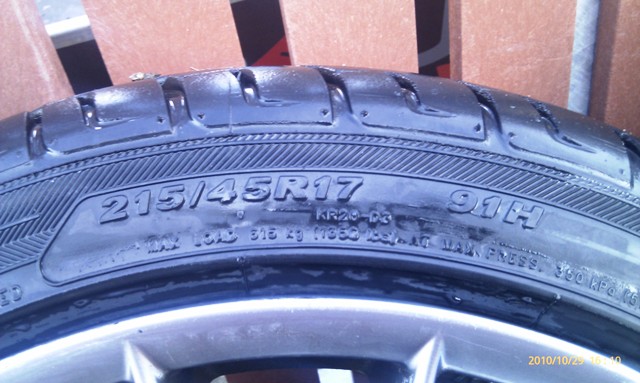 foto k příspěvku  od Aligátor