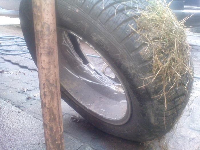 foto k příspěvku  od Lumík