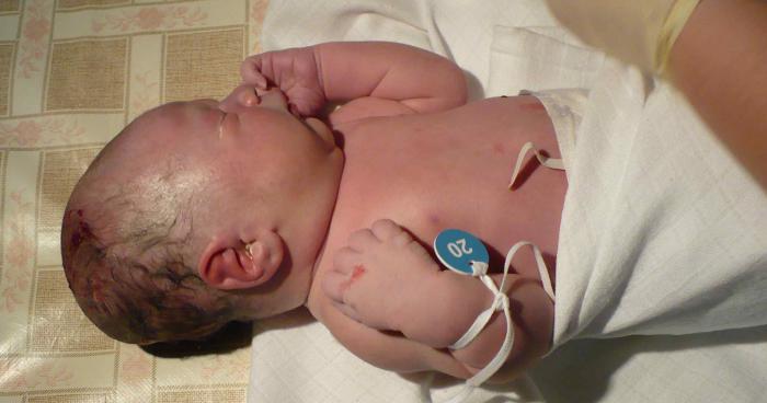 foto k příspěvku  od jozamucha