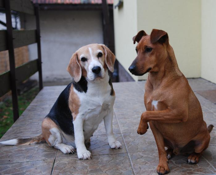 foto k příspěvku  od JA