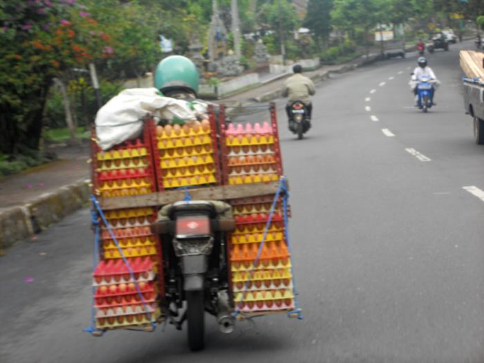 foto k příspěvku  od camron