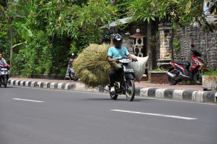 foto k příspěvku  od camron