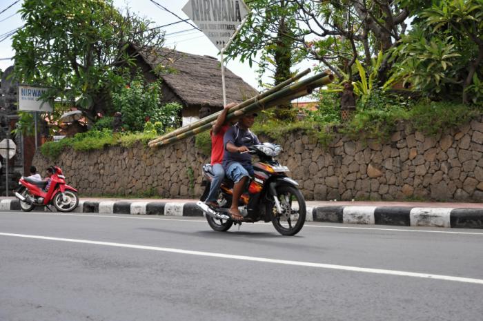 foto k příspěvku  od camron