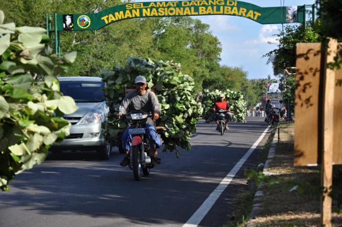 foto k příspěvku  od camron