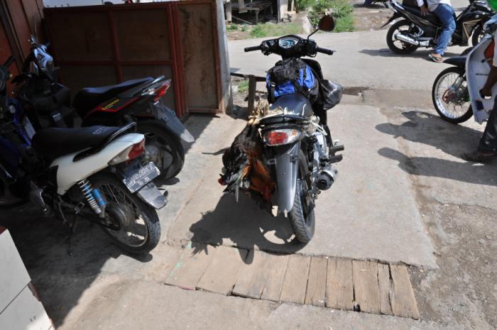 foto k příspěvku  od camron