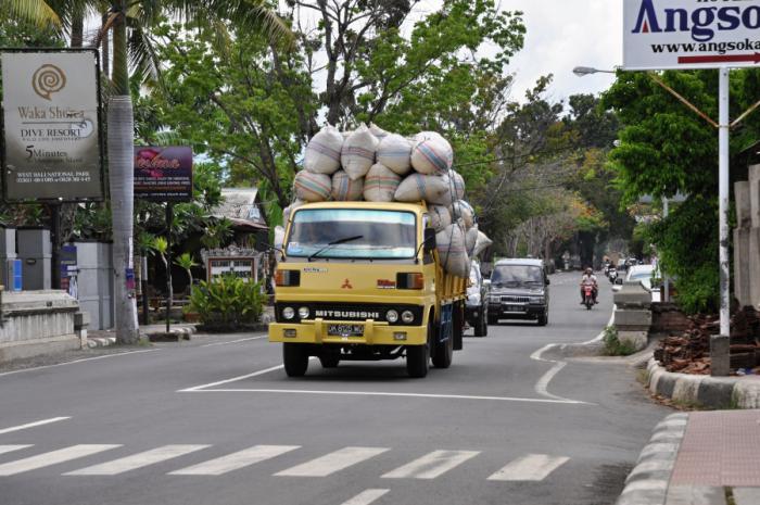 foto k příspěvku  od camron